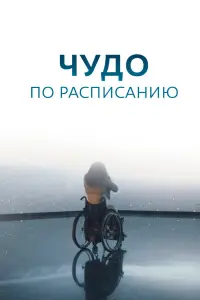 Сергей Стрельников, Екатерина Молчанова, Денис Мартынов,